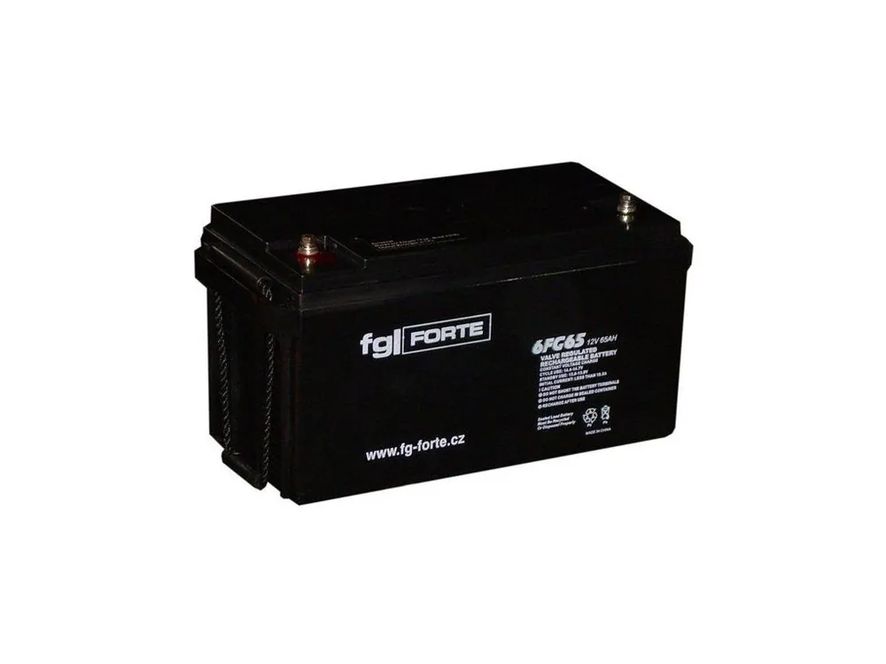 Baterie fgForte 12V 65Ah 6FG65 Akce