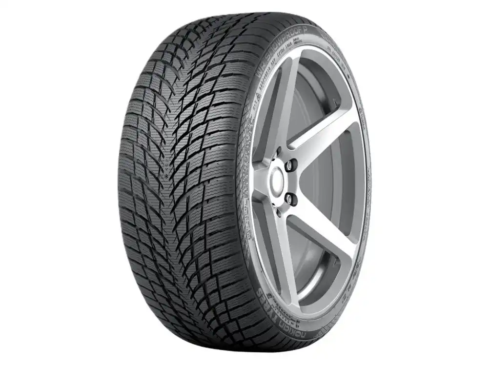 Nokian Tyres 205/55 R17 WR Snowproof P 95V XL 3PMSF Nejlepší Cena
