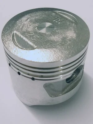 Cenová Bomba Píst sada AOKI 48,50 mm